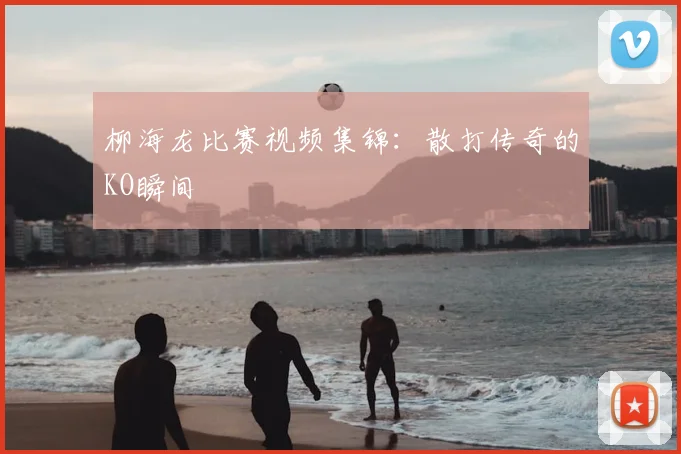 柳海龙比赛视频集锦：散打传奇的KO瞬间