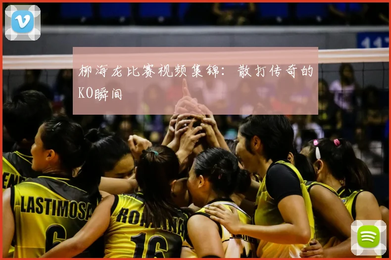 柳海龙比赛视频集锦：散打传奇的KO瞬间