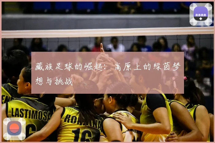藏族足球的崛起：高原上的绿茵梦想与挑战